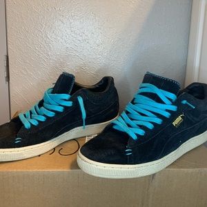 Puma Stepper